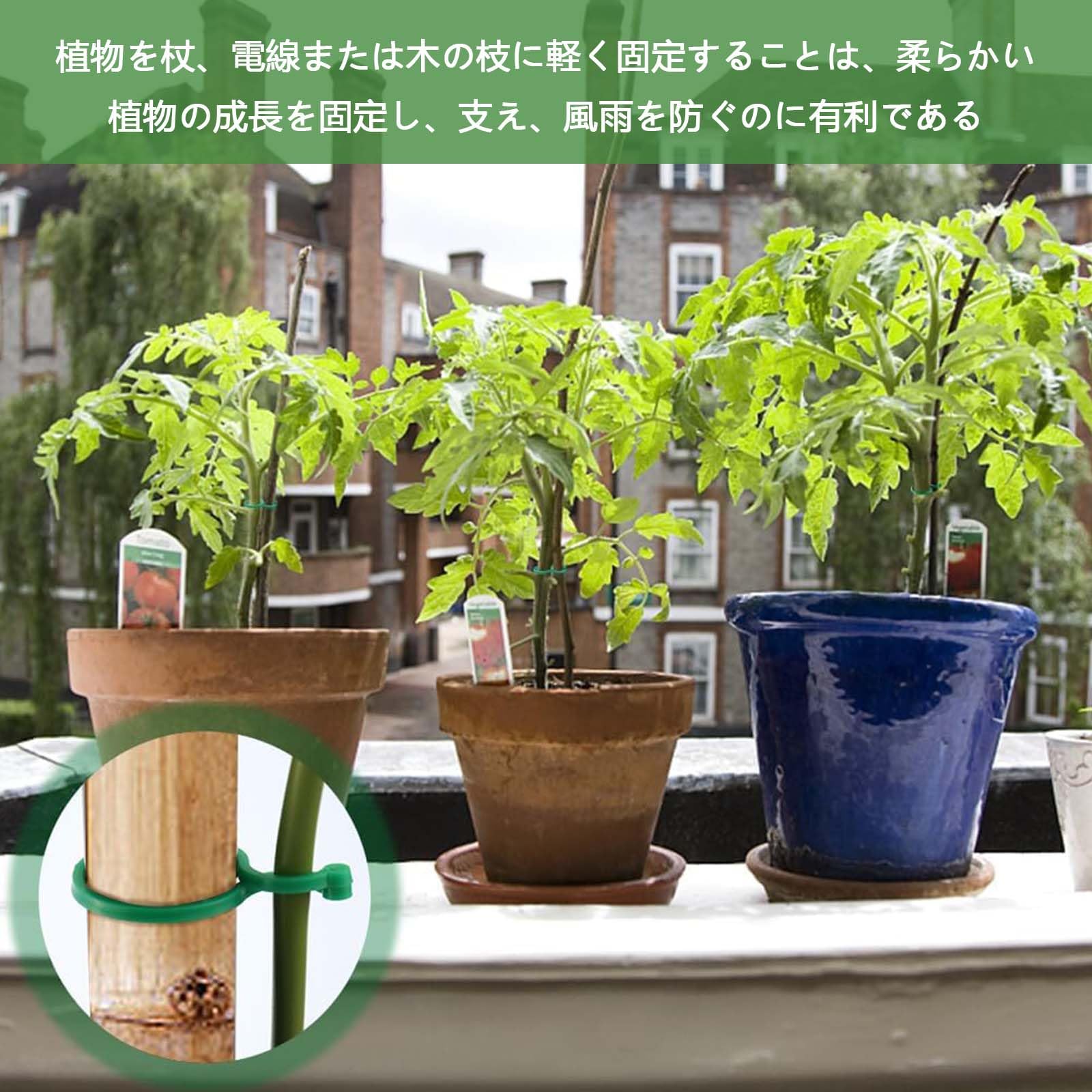 Amazon.co.jp: 誘引クリップ 【100個入】支柱クリップ 園芸クリップ